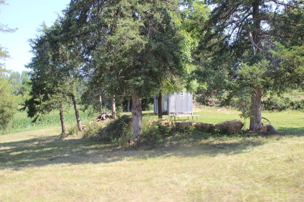 Picture 5