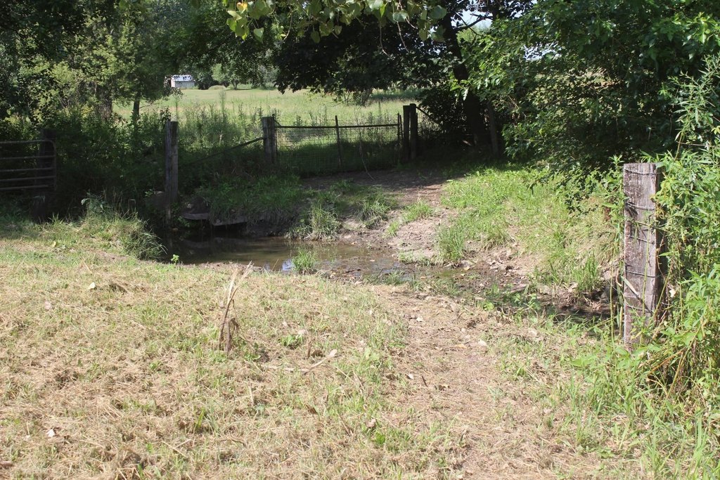 Picture 2