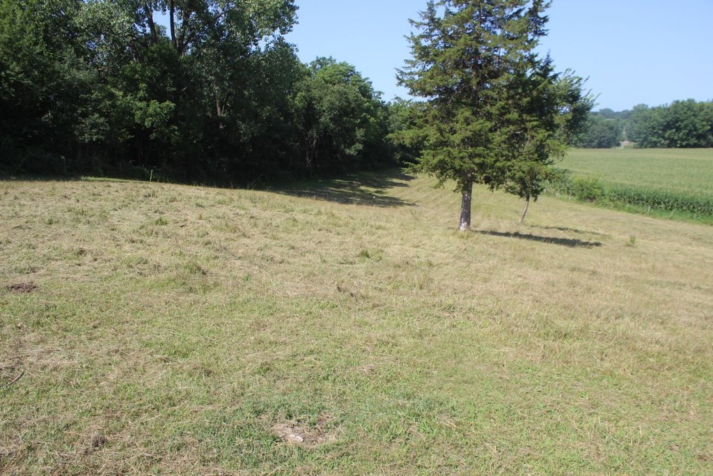 Picture 7