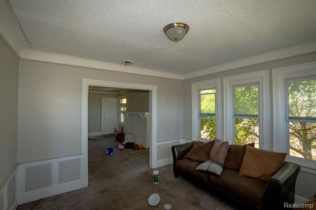 Picture 31