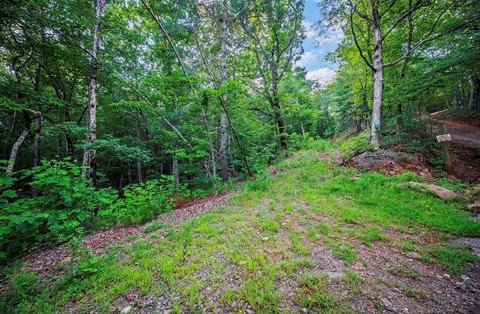 LAND - Ellijay, GA