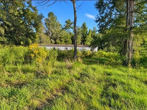 Vacant Land, Tickfaw, LA
