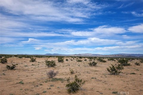 Expansive Desert Land Opportunity