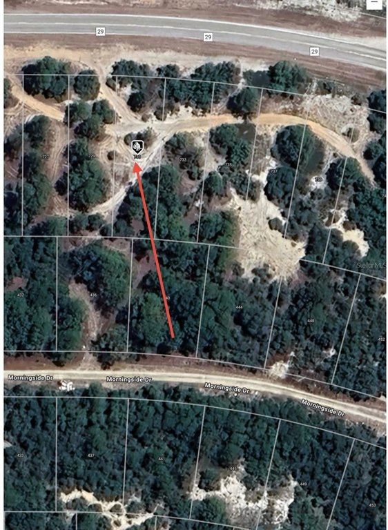 Picture 9