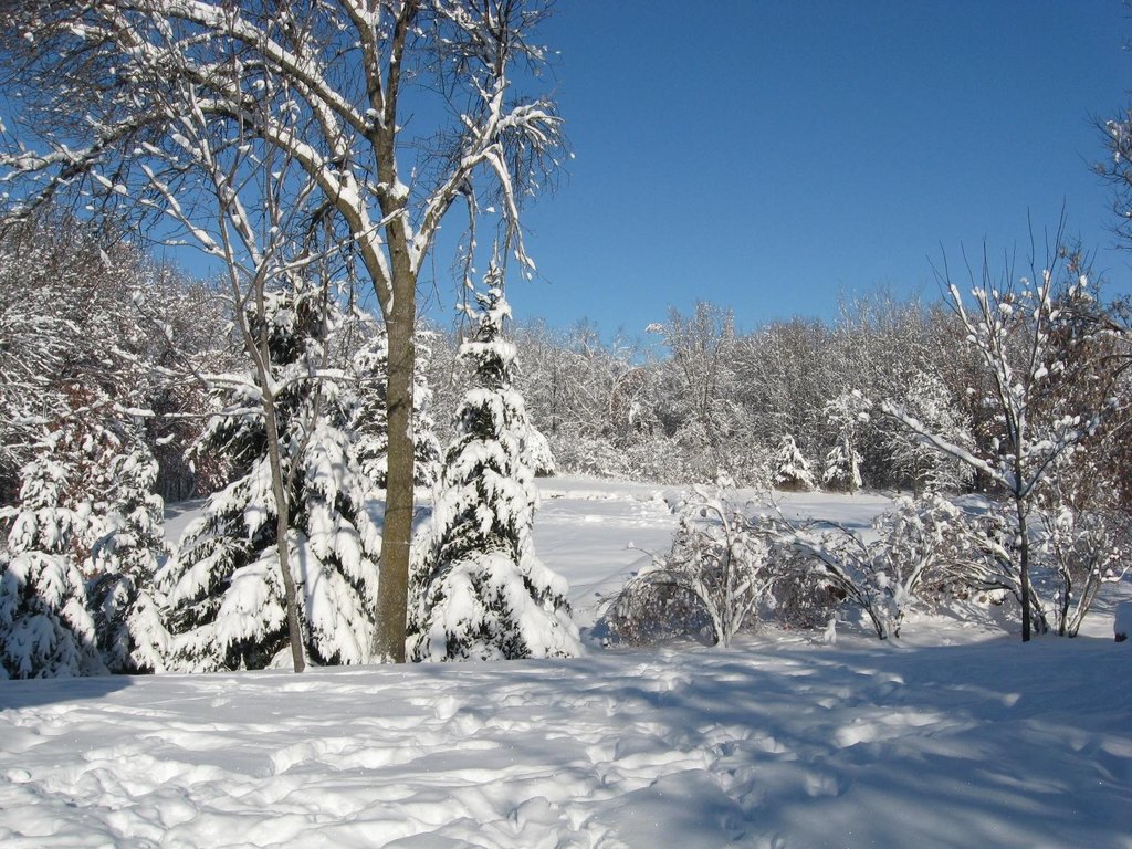 Picture 7