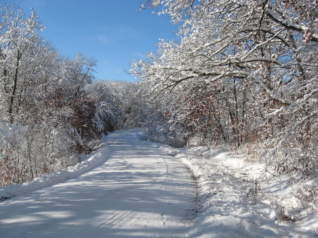 Picture 8