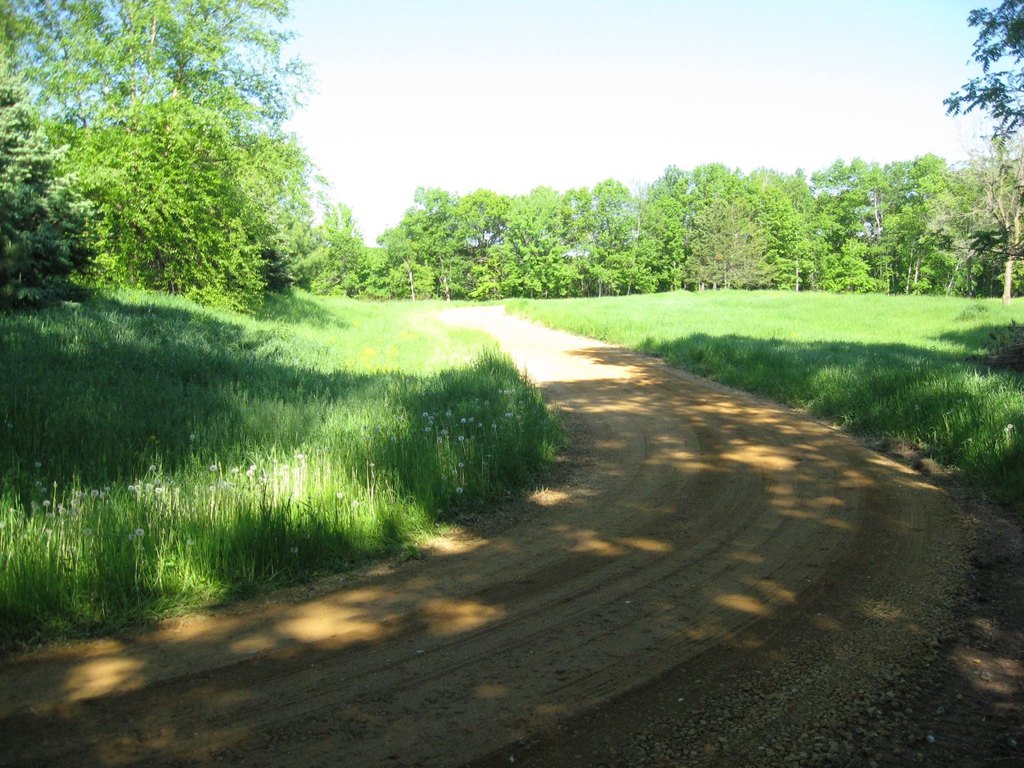 Picture 4
