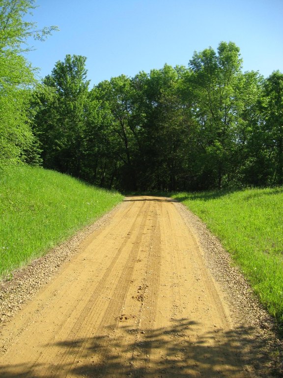 Picture 10