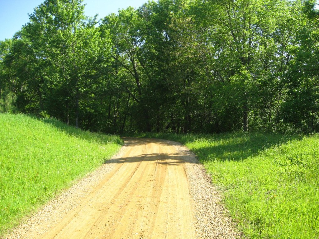 Picture 9