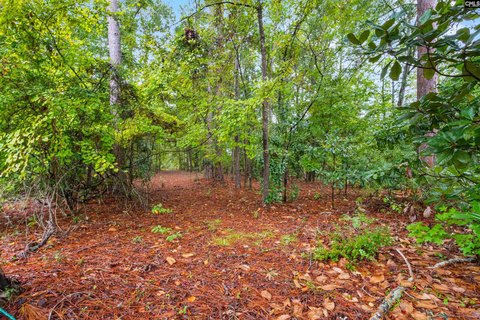 LOTS AND ACREAGE, Camden, SC