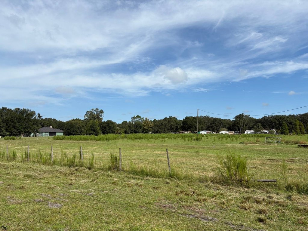 Picture 27