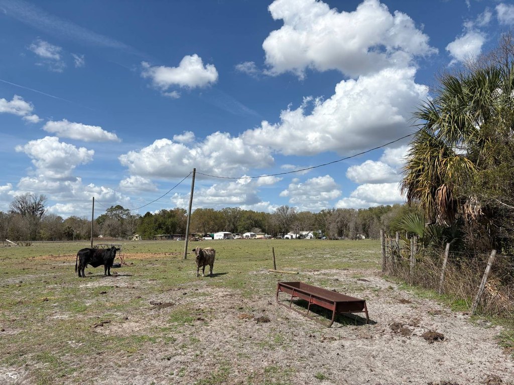 Picture 21