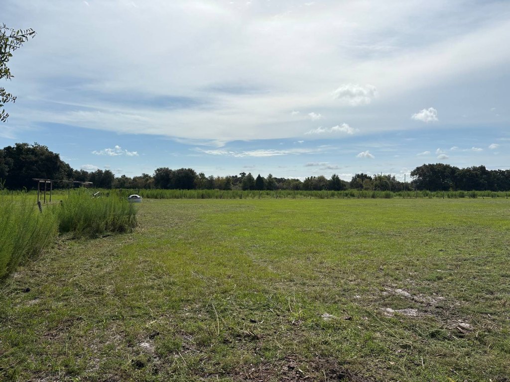 Picture 37