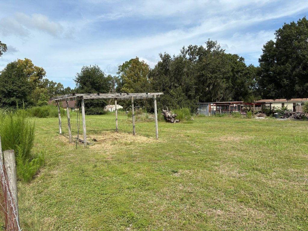 Picture 36