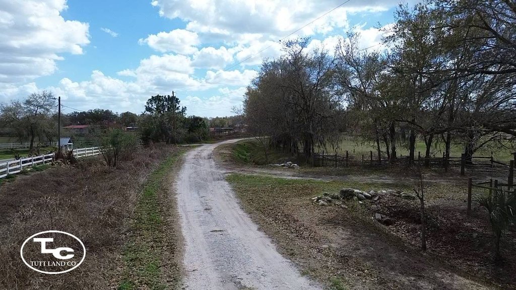 Picture 15