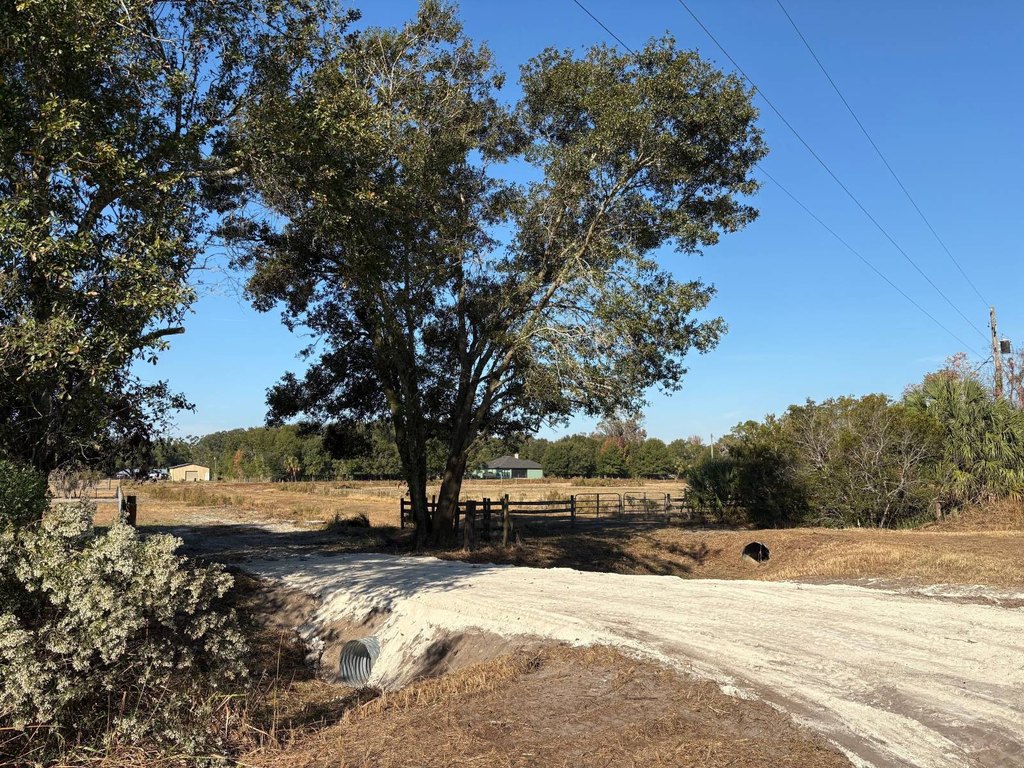 Picture 27