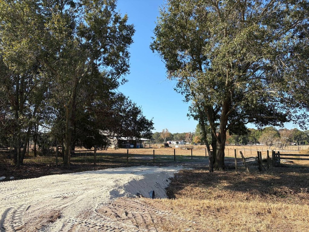 Picture 18