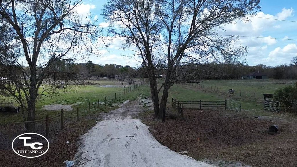 Picture 14