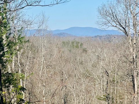 Vacant Lot, Blue Ridge, GA