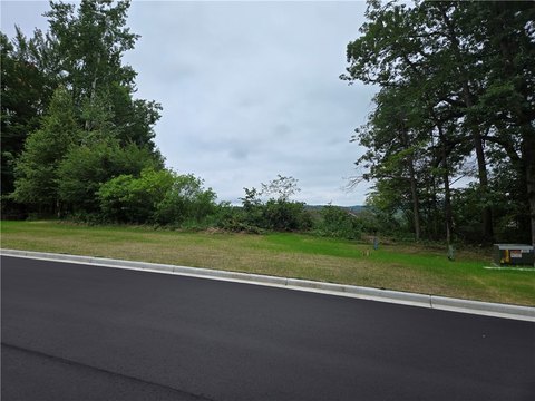 Wooded Land in Boyceville, WI