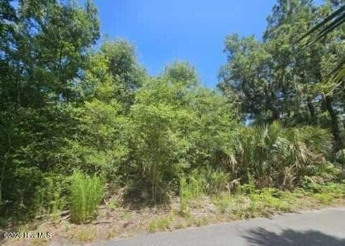 Bald Head Island Homesite