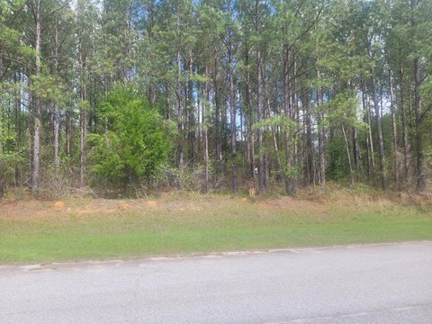 Residential Land in Hephzibah, GA