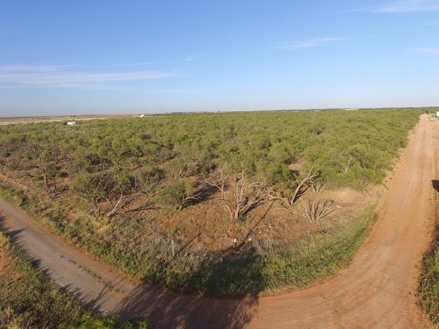 Picture 4