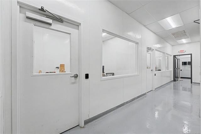 Picture 24