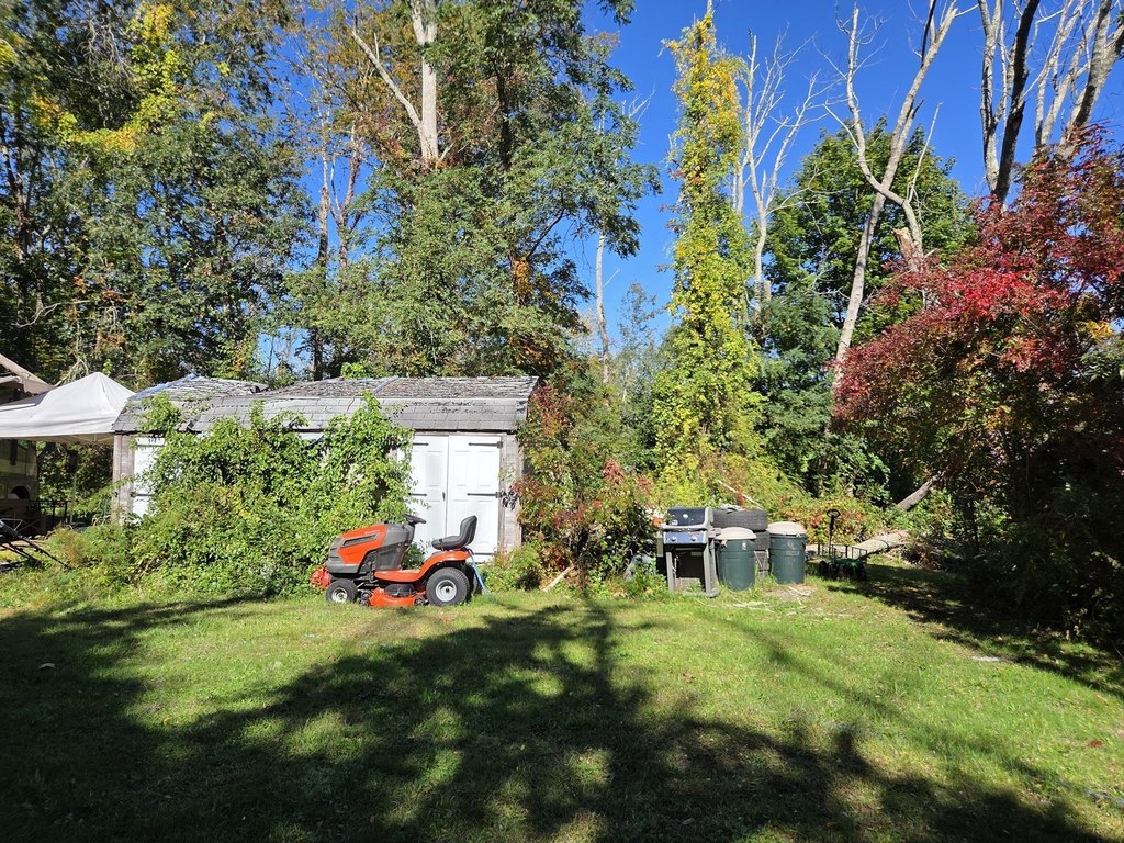 Picture 2