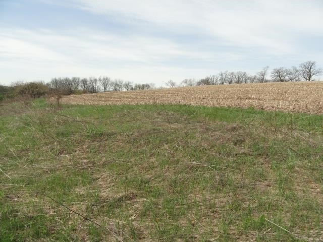 Picture 30