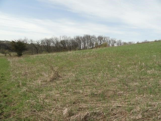 Picture 27