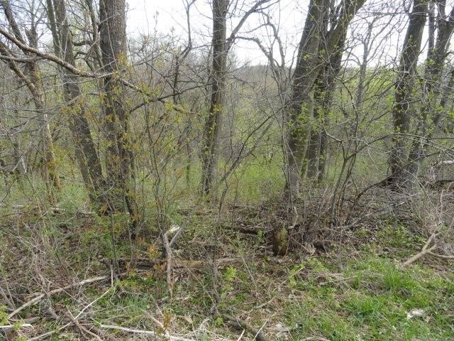 Picture 39