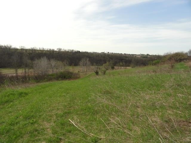 Picture 31