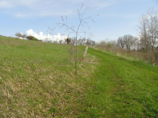Picture 24
