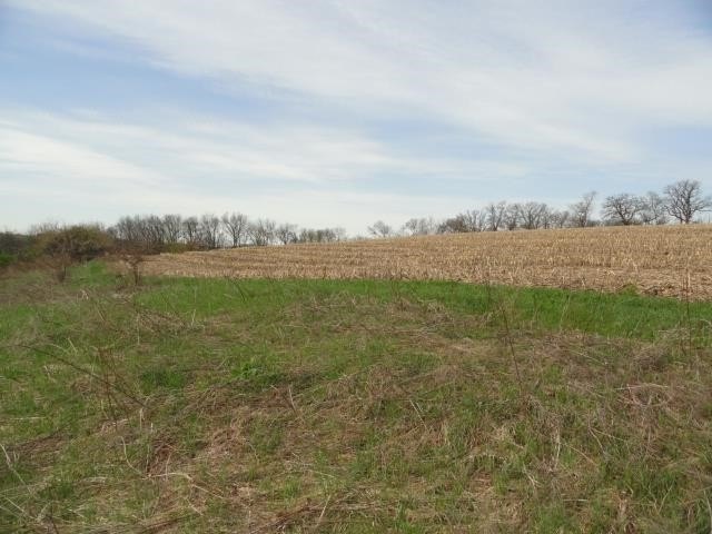 Picture 32