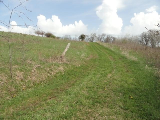 Picture 23
