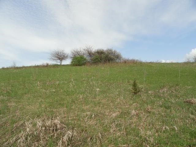 Picture 26