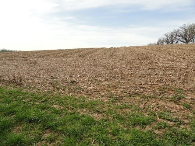 Picture 38