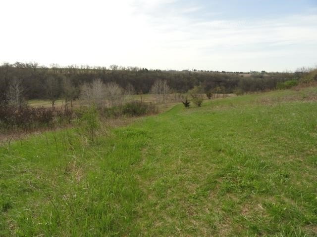 Picture 35