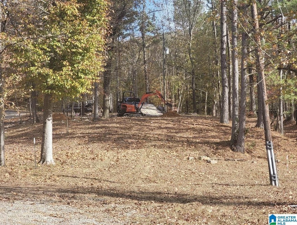 Picture 4