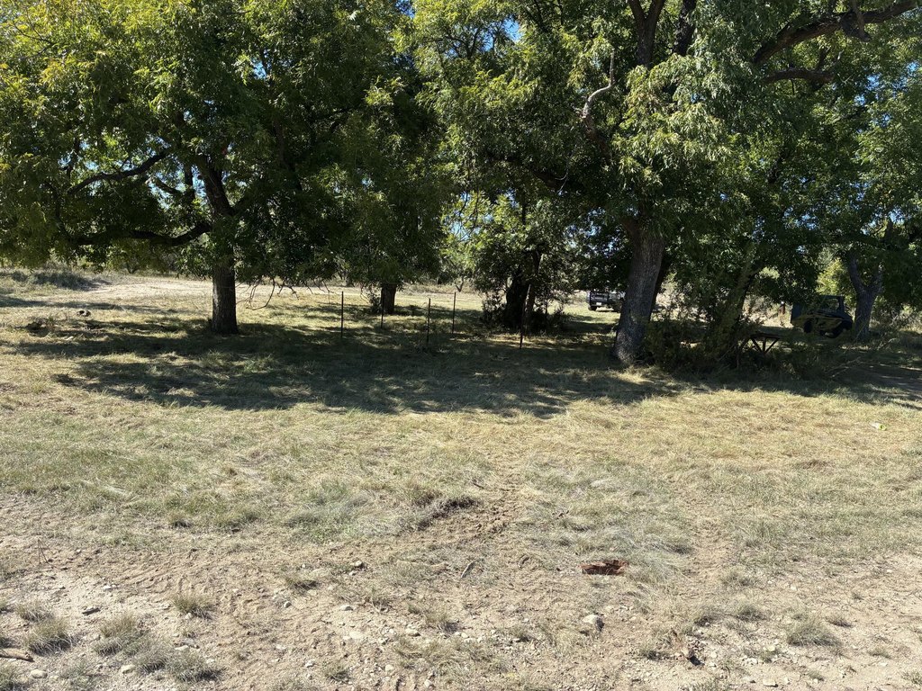 Picture 26