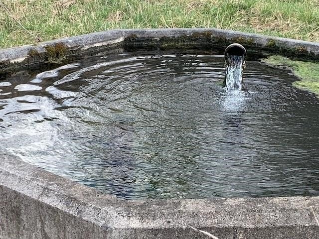 Picture 15