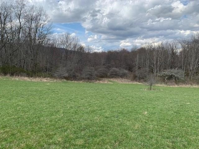 Picture 7