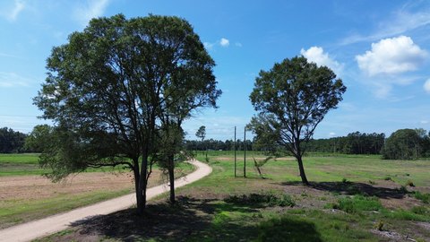 Land, Vance, SC