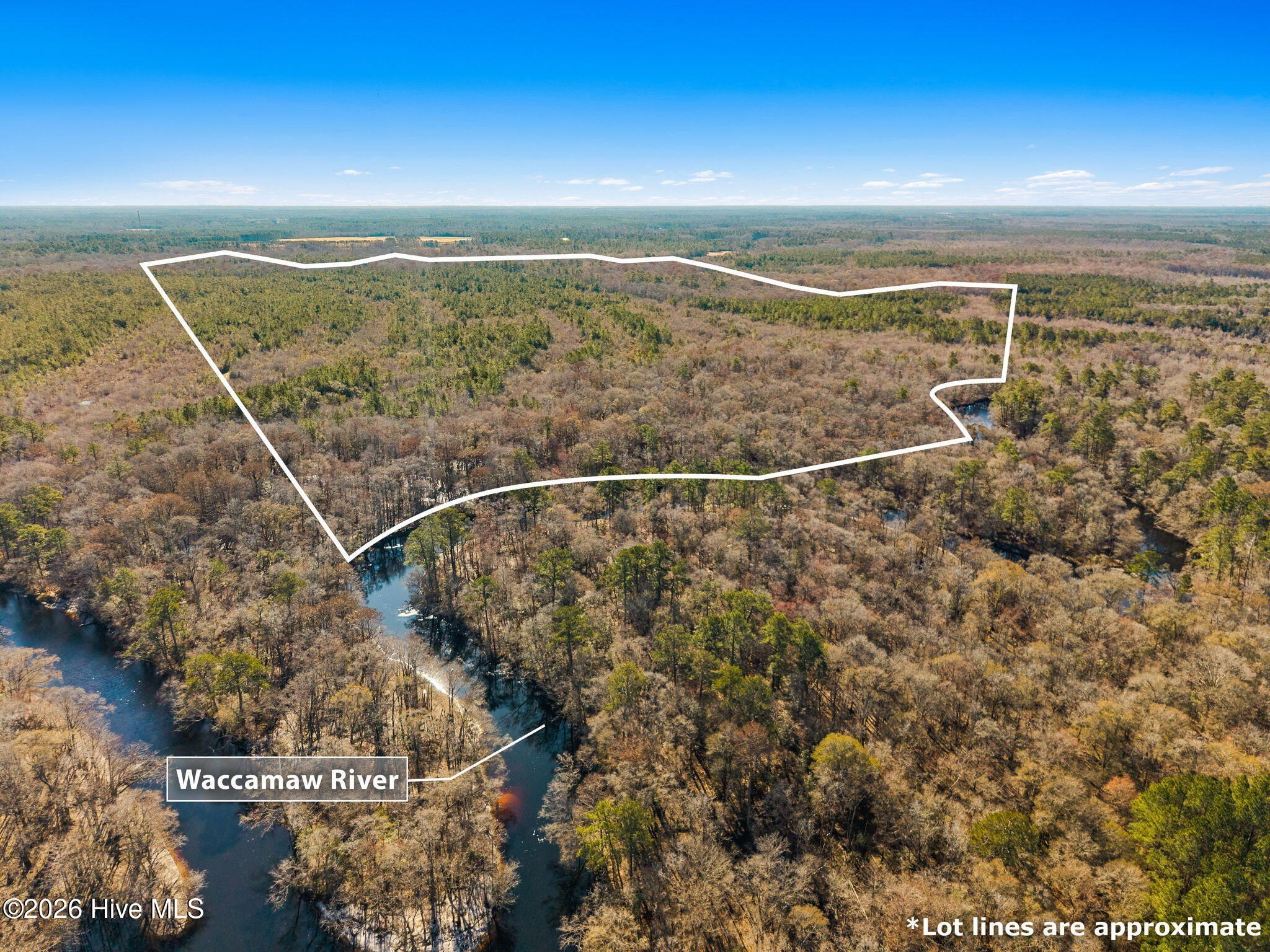 290 AC Hunting Land