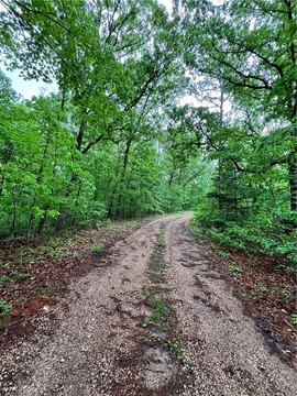 Bella Vista Land Opportunity