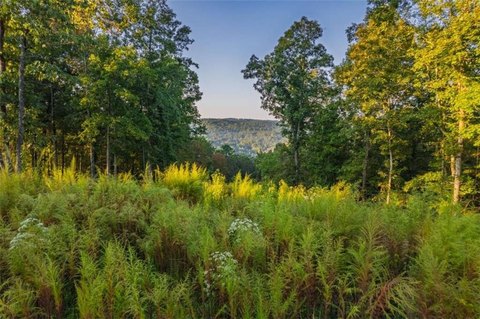 Land with Mountain Views