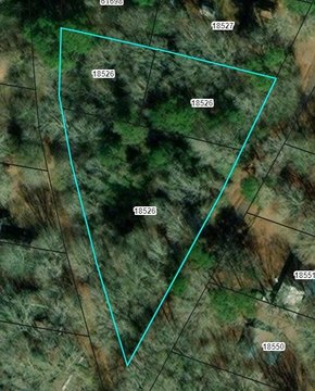 Versatile 1-Acre Property in Chireno