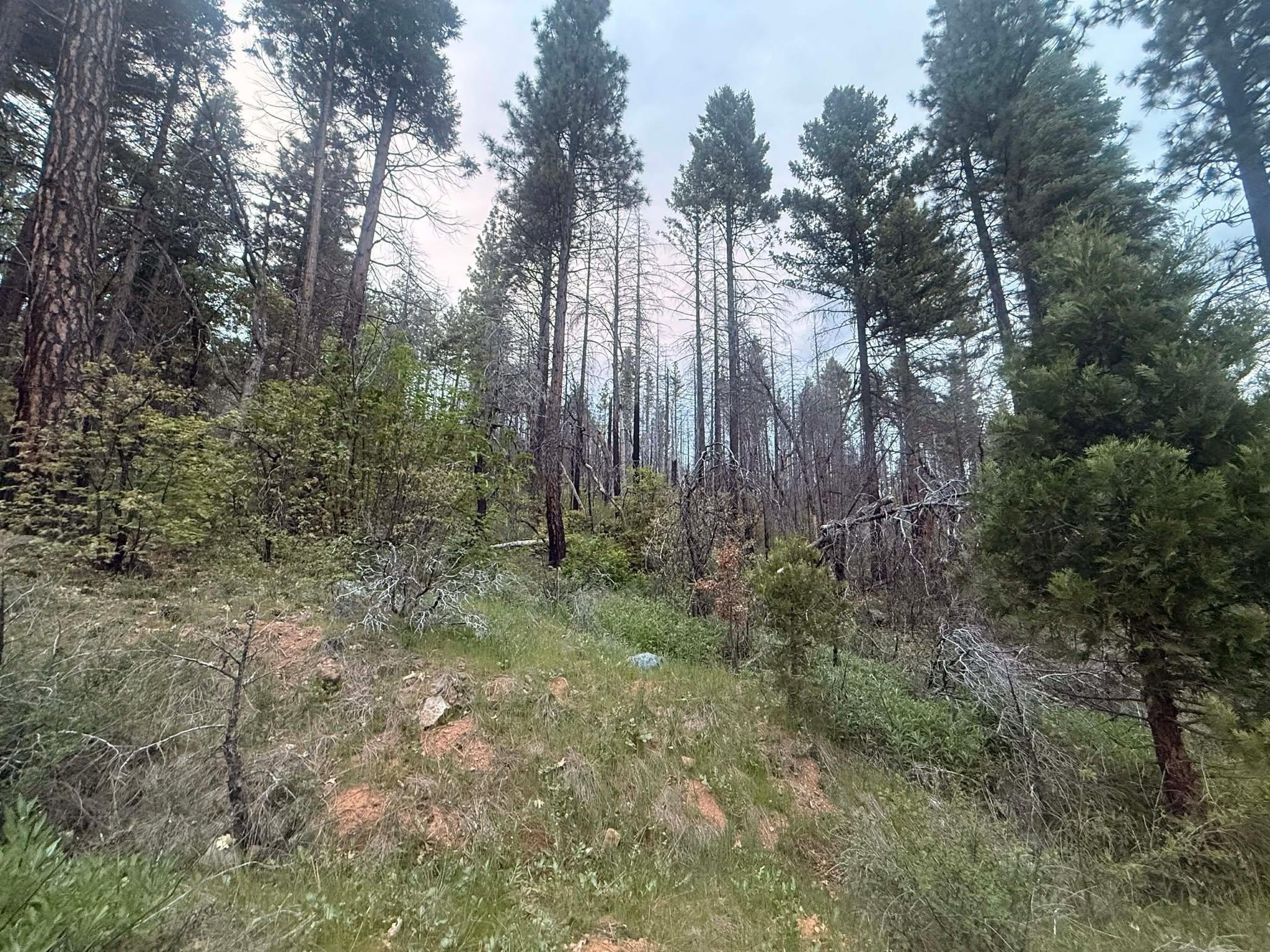 Acreage in Indian Valley, CA