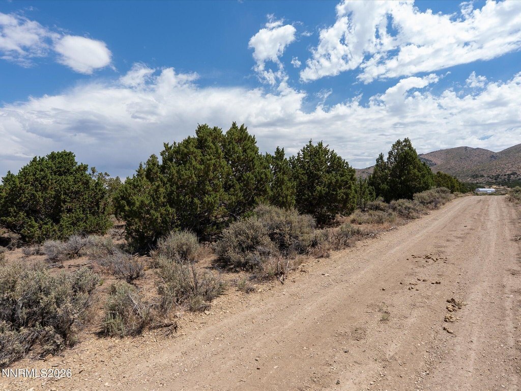 Picture 28
